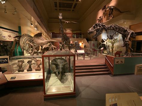 dinosaur museum america|Dinosaur Facts .
